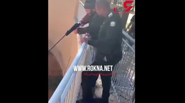 سقوط دلهره آور یک جوان به داخل قفس شیرها+فیلم / سودان