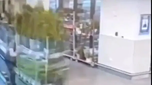 فیلم فاجعه آور از کارگر فروشگاه در حمل گلدان ها / شوکه می شوید