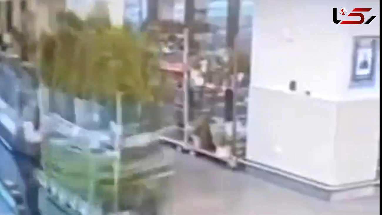 فیلم فاجعه آور از کارگر فروشگاه در حمل گلدان ها / شوکه می شوید