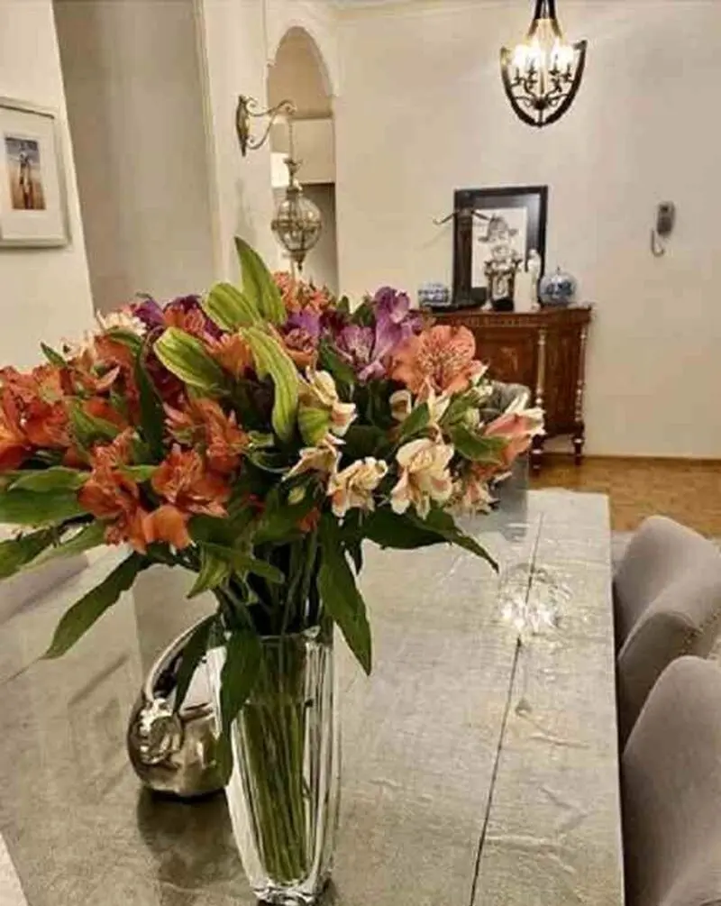 منزل نرگس محمدی