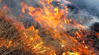 آتش سوزی جنگل های بلوط خوزستان زیر سر 2 طایفه کینه جو بود