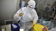 واکسن ایرانی کرونا به زودی وارد مرحله انسانی می‌شود