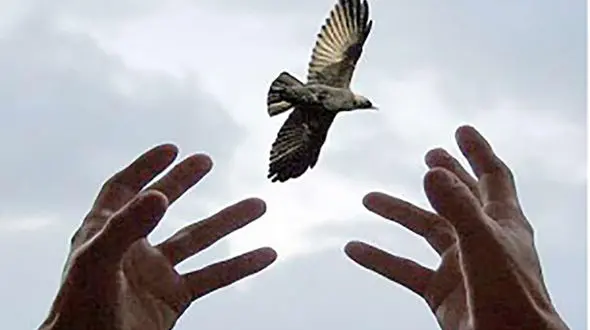 نجات جان قاتل پشیمان از پای چوبه دار / در کرمانشاه رخ داد