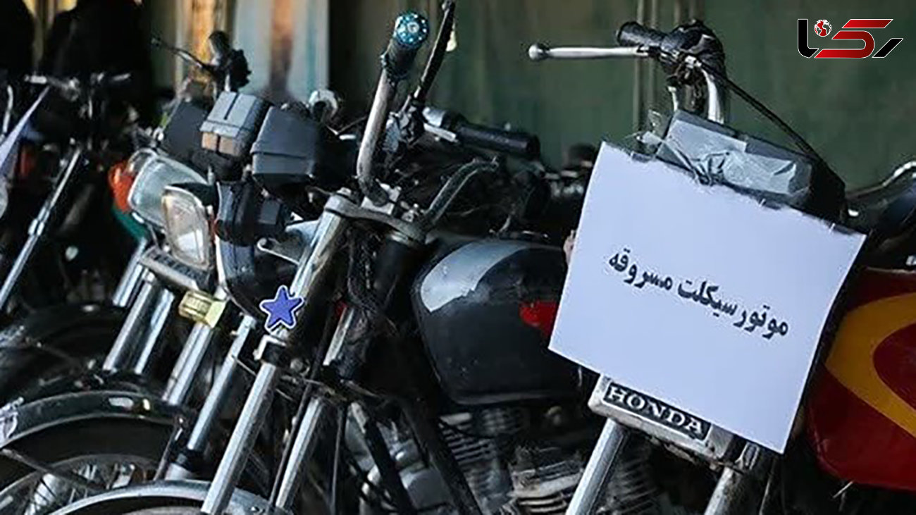 کشف  18 دستگاه وسایل نقلیه سرقتی در استان بوشهر 
