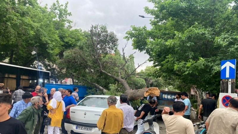 خسارت تندباد ۸۰ کیلومتری در بجنورد