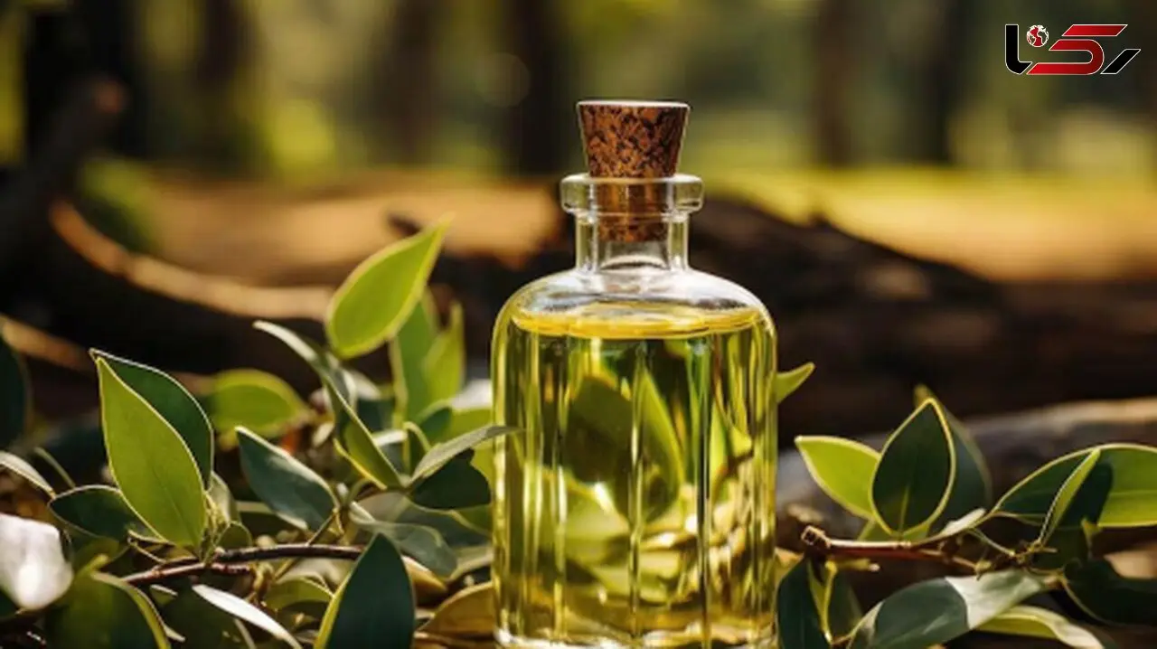 روغن اکالیپتوس چگونه باعث بهبود وضعیت تنفسی می‌شود؟