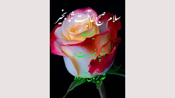 فال روزانه شخصی/ 21  شهریور ماه + فیلم
