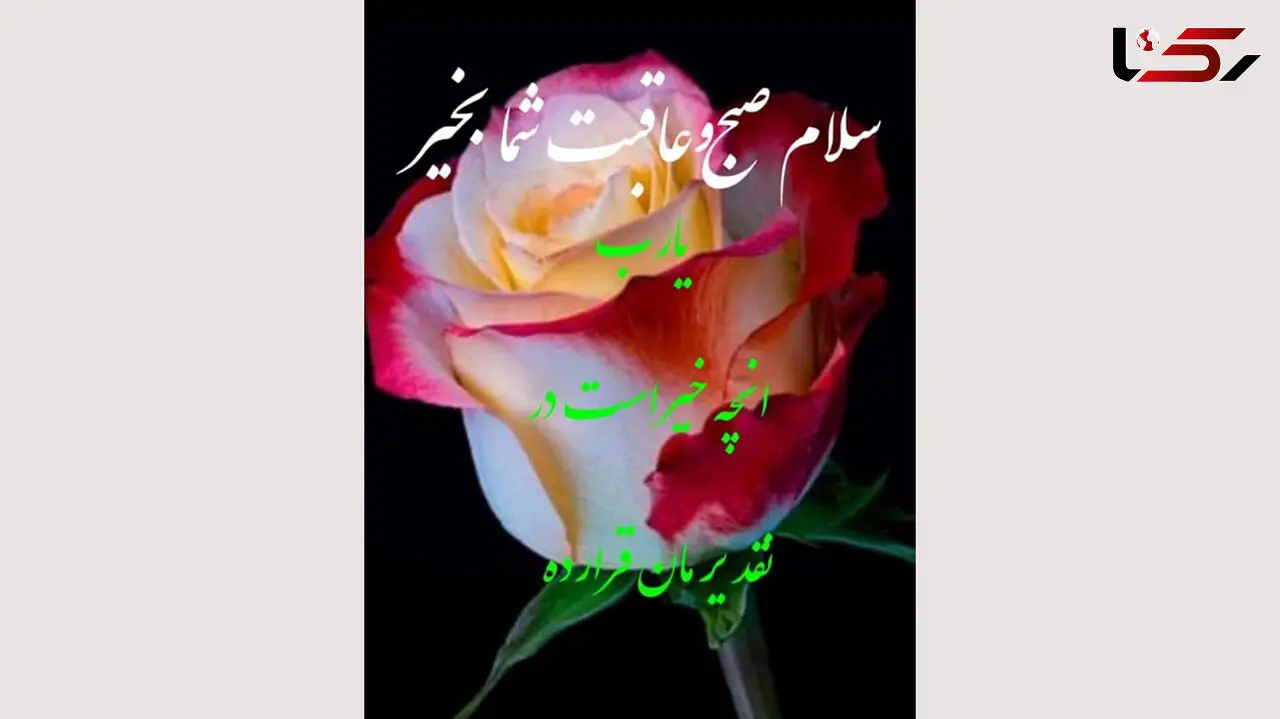 فال روزانه شخصی/ 21  شهریور ماه + فیلم
