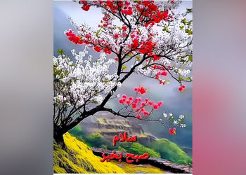 فال ابجد امروز 17 مرداد 