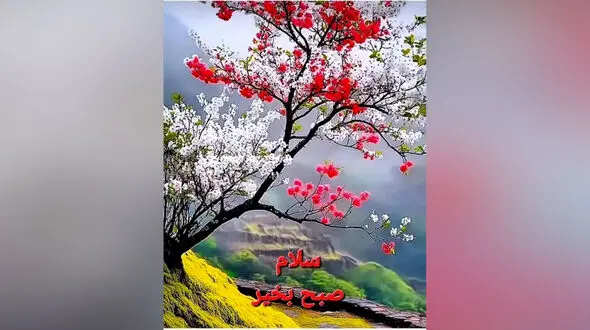 فال ابجد امروز 17 مرداد 