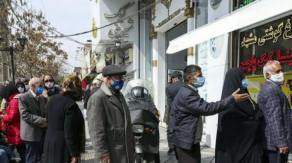 قالیباف: دولت بیاید مرغ را مدیریت کند!