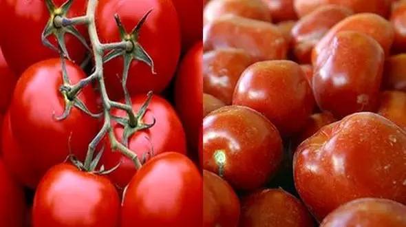 کاهش قیمت سیب‌زمینی و گوجه‌فرنگی/ ادامه ارزانی در بازار با تولیدات جدید