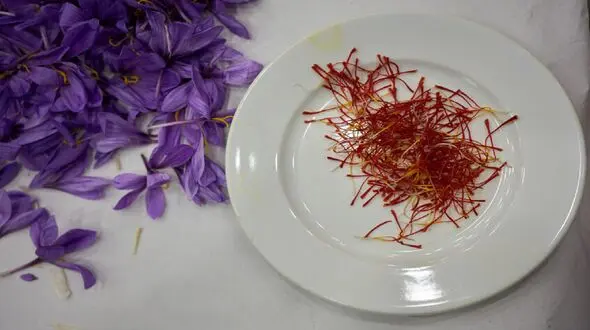 خبر خوب برای زنان؛ خواب عمیق‌ تر با عطر یک ادویه