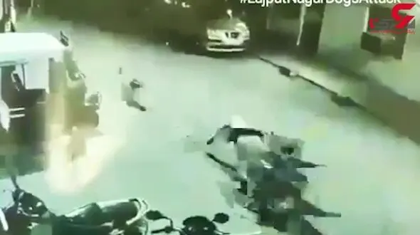 فیلم لحظه حمله  6 سگ به یک مرد در خیابان /  او چه کرد؟ / هند