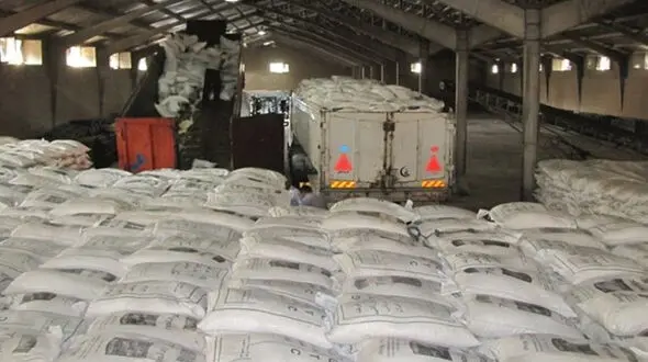 200 هزار تن برنج در گمرک بلاتکلیف است / 4 هزار میلیارد تومان برنج نابود می شود ؟