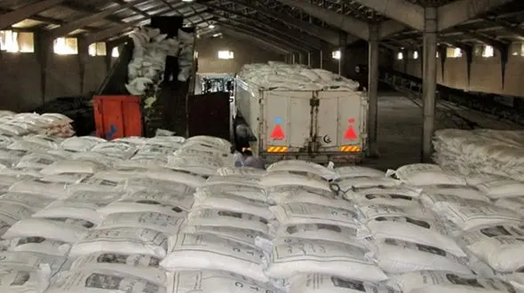 200 هزار تن برنج در گمرک بلاتکلیف است / 4 هزار میلیارد تومان برنج نابود می شود ؟