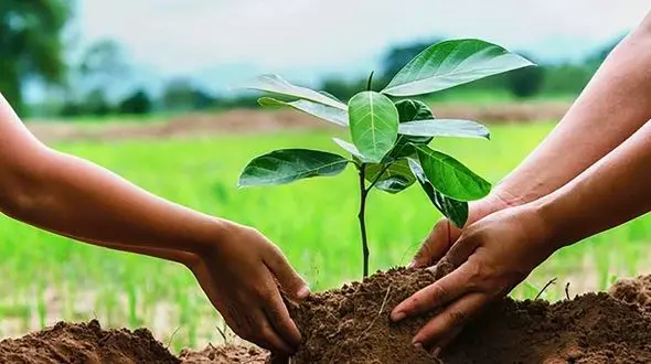 مجازات جدید و سبز به جای زندان در آذربایجان شرقی