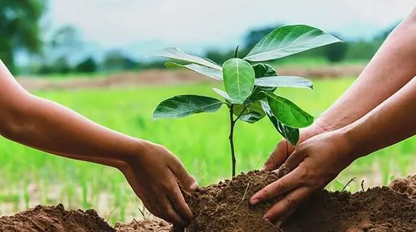 مجازات جدید و سبز به جای زندان در آذربایجان شرقی