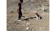فیلم وحشتناک از حیوان آزاری یک جوان بی رحم ( 14+)