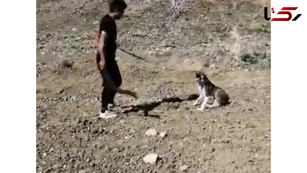 فیلم وحشتناک از حیوان آزاری یک جوان بی رحم ( 14+)