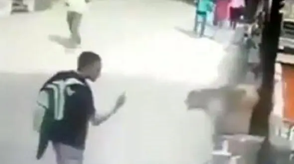 درس عبرت میمون برای عابر گستاخ! + فیلم