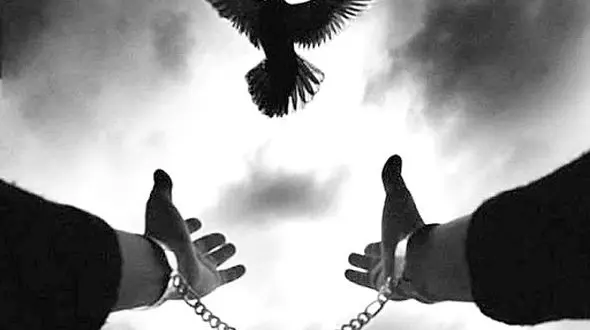 رهایی از چوبه دار پس از 13 سال