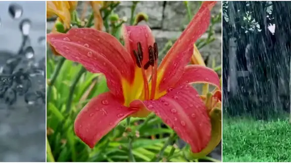 نمایشی از  بخشندگی آسمان به زمین+فیلم