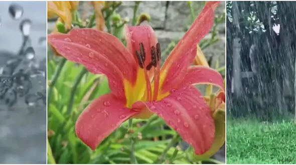 نمایشی از  بخشندگی آسمان به زمین+فیلم
