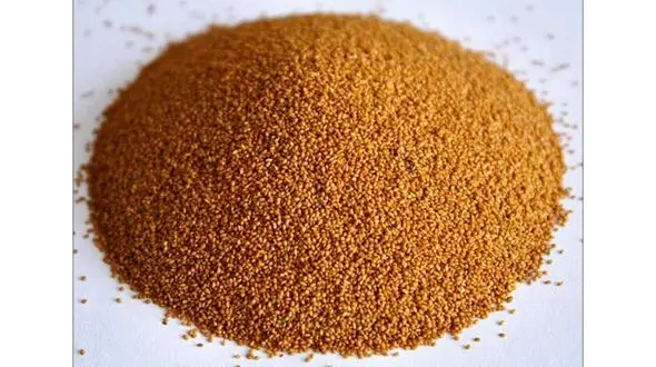 طرز صحیح شستن خاکشیر