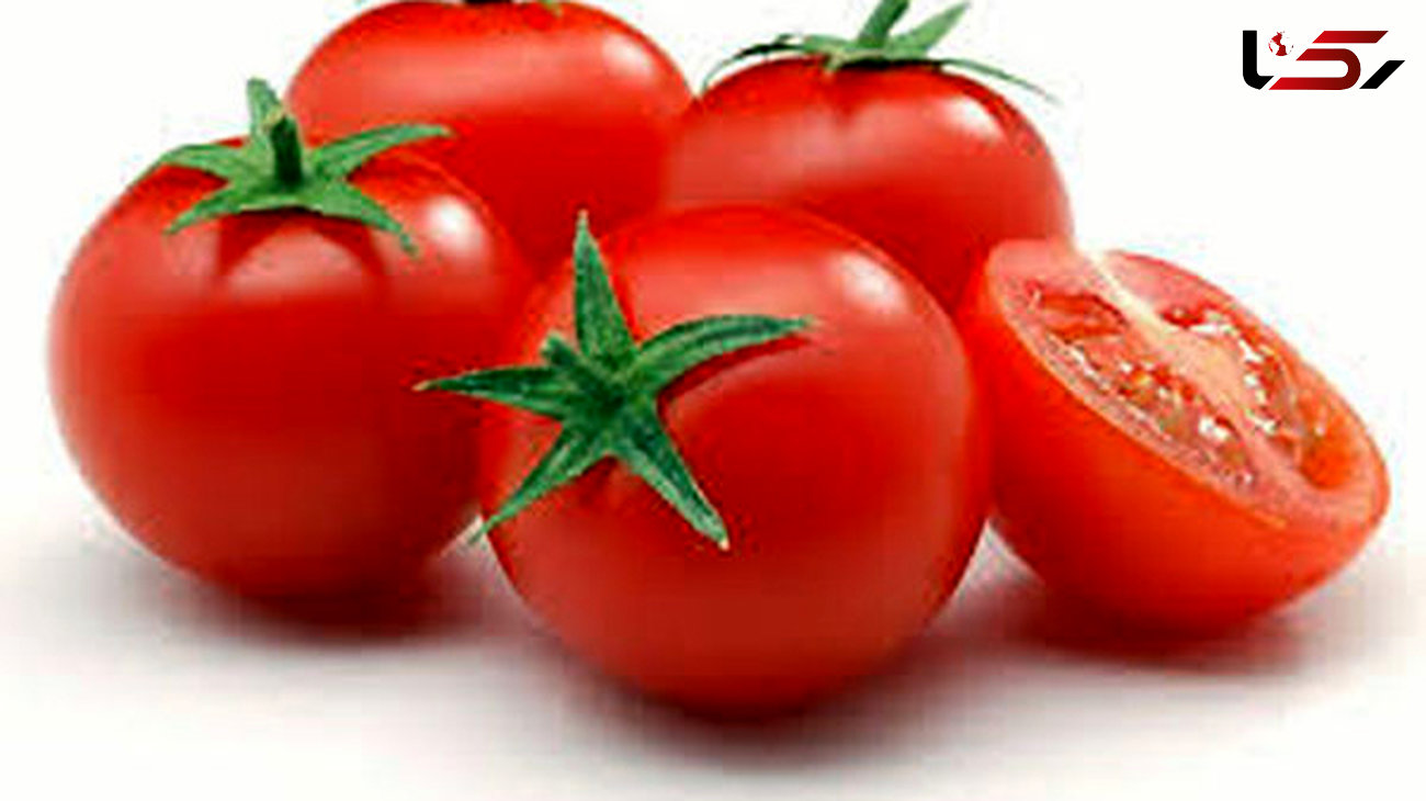 درآمد 82 میلیون دلاری با رب گوجه