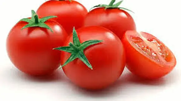 درآمد 82 میلیون دلاری با رب گوجه
