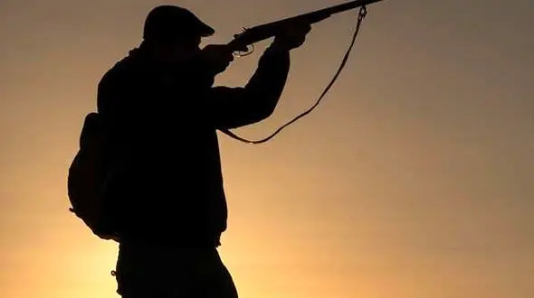 دستگیری دو شکارچی پرنده گان در شوشتر در حین ارتکاب جرم 