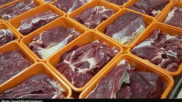 آمادگی شهرداری تهران برای واردات و توزیع گوشت گرم باکیفیت