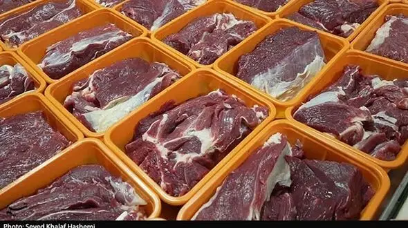 آمادگی شهرداری تهران برای واردات و توزیع گوشت گرم باکیفیت