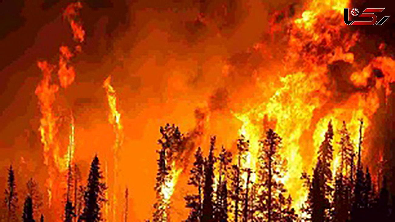 
آتش سوزی مرگبار کالیفرنیا: ۷۴ تن کشته و بیش از ۱۰۰۰ نفر مفقود شده‌اند
