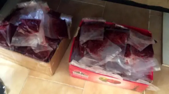 کشف 6 تن تنباکوی غیرمجاز + عکس و فیلم