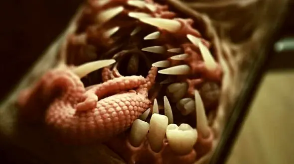 چندش‌ آورترین قاب‌ های گوشی موبایل را ببینید + عکس