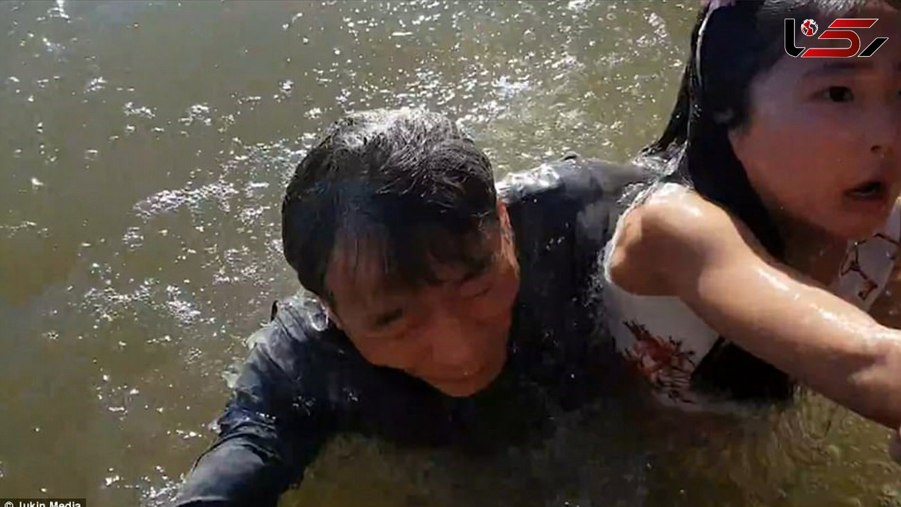 شیردریایی دختربچه ۸ ساله را به درون آب کشید+فیلم