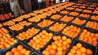 نیازی به واردات میوه نداریم/ ذخیره‌سازی پرتقال از تولید داخلی
