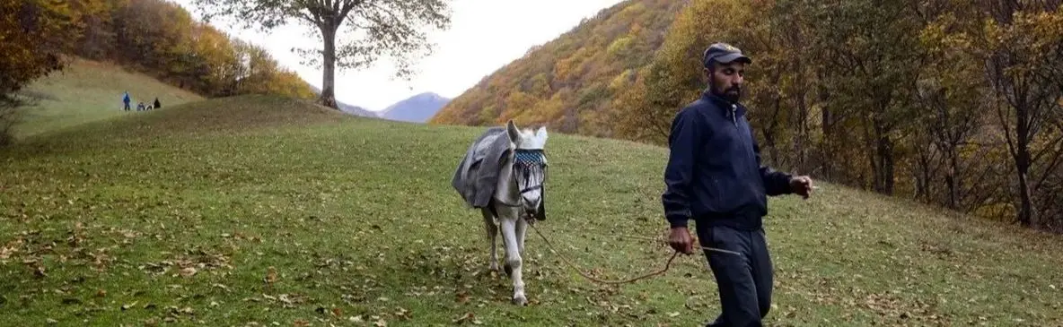 تماشای طبیعت پاییزی روستای نمنق؛ سفری به زیبایی‌ های خفته / عکس
