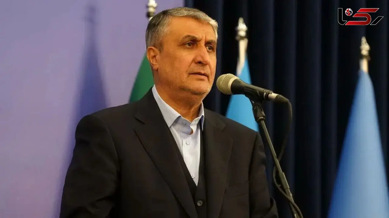 رئیس سازمان انرژی اتمی : با حمله به ایران اعتبار آژانس از بین رفت