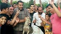 مجازات حیوان آزاری برابر قتل و انتشار فیلم از آن با هدف تشویش اذهان عمومی جرم می‌شود