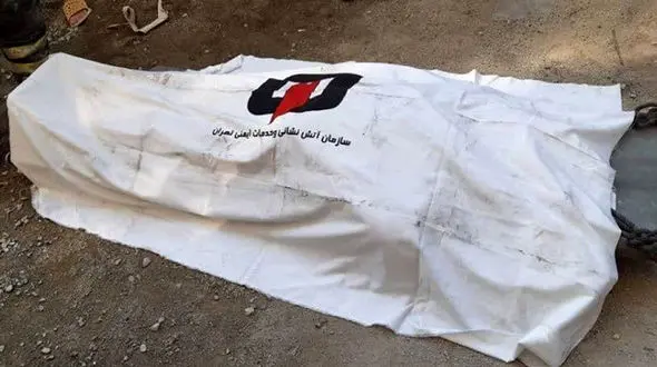 قتل معمایی مدیر ارشد پتروشیمی در سمنگان