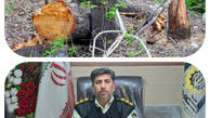 سارق و عامل قطع درختان باغات بیجار در دام پلیس افتاد
