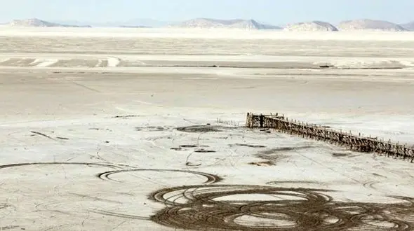 مرگ دریاچه ارومیه، سرآغاز گسترش سرطان پوست در حیوانات شمال غرب/ احتمال افزایش ناقص‎‌الخلقه‌‎زایی و بروز کم خونی در منطقه