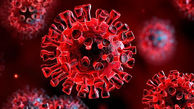 کشف نوع جدید ویروس کرونا در جمهوری چک