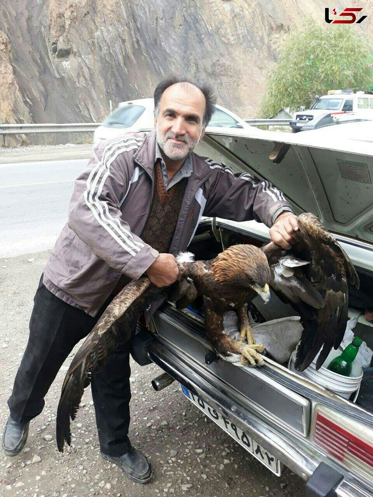 مرد آملی با یک عقاب چه کرد؟! + عکس
