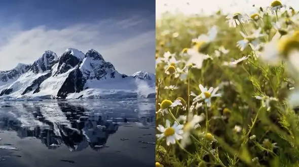 ببینید / نماهنگ بی کلام آرامش بخش از زمستان تا بهار + فیلم 