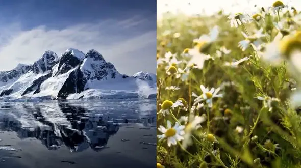 ببینید / نماهنگ بی کلام آرامش بخش از زمستان تا بهار + فیلم 