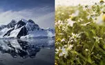 ببینید / نماهنگ بی کلام آرامش بخش از زمستان تا بهار + فیلم 
